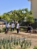 ターンはむずかしい「喜多方グリーンツーリズム　首都圏の中学生が農業体験」