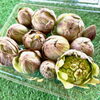 「ほろ苦い春の味『ふきのとう』」