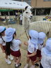 おくび、なが～いね！「楽しかった移動動物園」