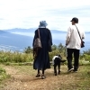「愛犬と一緒に楽しむ、入笠山秋トレッキング🐶🍂」
