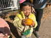 大きな夏みかん🍊「ビオトープ🍊」
