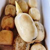 「「新れんこん」入荷しています～♪♪ 茨城県産　「新れんこん(ハウス栽培)」」