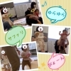 サファリパークに出発!動物さんになっちゃうよ!「南区&下京区のベビーリトミック♪1歳ベビーちゃんのにこにこ初めてのリトミック【ピアノ・リトミック・英語リトミック・ベビーリトミック】」
