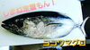 「○本日のお刺身○【しまね定置もん！】ヨコワマグロ、天然タイ☆本日のお惣菜もあります！も」