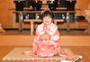 「令和８年  函館乃木神社の七五三詣　ご祈願予約承り中です」