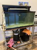深海魚の水槽「日本一小さな深海魚展示室の清掃/水槽メンテナンス/深海魚の聖地/沼津市」