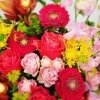 お花を買うならココ！　船橋の花屋さんまとめ