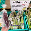 「赤色スイートコーン『大和ルージュ』入荷しました！道の駅木曽福島」