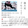 美脚「動かせる？【美脚は足の動かし方からつくられる】女性専用24Hジム＆セルフエステ」