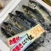 「魚魚市場鮮魚コーナーおすすめは「ホーボー・ビンチョウマグロ」です♪」