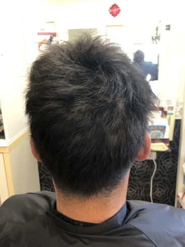 メンズシルバーカラー Hair Fashion Girl ヘアーファッションガール のニュース まいぷれ 米子 メンズシルバーカラー Hair Fashion Girl ヘアーファッションガール のニュース まいぷれ 米子