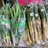 「地元木曽産の旬の野菜が入荷しました！」