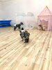 みんなで金魚さんの奪い合い　^o^「ましゅまろ幼稚園　（＾_＾）」