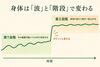 「身体が変わる2つのプロセス――良くなったり戻ったりするのはなぜ？【荒川区/東日暮里　フィーリングス日暮里整体院 】」