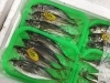 「魚魚市場鮮魚コーナーおすすめは「養殖シマアジ」です♪」