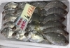 魚魚市場鮮魚コーナーおすすめは「エビスダイ」「ツキヒガイ」です