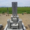 和型Mサイズ