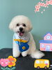 「Dog salon mofu mofu 余市町」