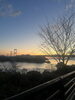 「初日の出🌅」