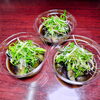 なす煮浸し「6月6日のお惣菜」