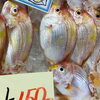 「魚魚市場鮮魚コーナーおすすめは「チカメキントキ・アマダイ」です♪」