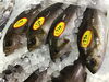 「魚魚市場鮮魚コーナーおすすめは「北海道産ホタテ・のどぐろ」です♪」