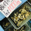 「魚魚市場鮮魚コーナーおすすめは「白魚・殻付き牡蠣」です♪」
