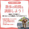 散歩の時間「犬の猛暑対策！暑さを乗り越えよう！！」