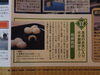 鶏卵饅頭の記事「歴史雑誌で今治城と鶏卵饅頭が紹介されました」