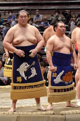 大相撲 照強関 反物 - スポーツ