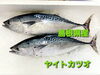 「○本日のお刺身○【島根県産】天然タイ、ヤイトカツオ」