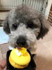 「HAPPY　BIRTH　DAY」