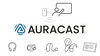 １つの音声をみんなで共有、それがAuracast「【保存版】補聴器で「Auracast」を楽しむための完全マップ！1年間の検証の集大成を公開しました📝✨　認定補聴器専門店｜立川補聴器センター｜認定補聴器技能者　２名在籍」