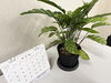 3Dプリンターで作成したオリジナル植木鉢「3Dプリンタでつくるオリジナル鉢のご紹介🌿 — 多肉＆観葉にぴったり！」