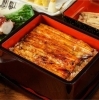 「朝霞台・北朝霞　徒歩3分　昼から飲めちゃう　個室居酒屋【四季の里】ご存知ですか？？　」