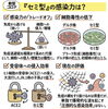 「新型コロナ『セミ型』とは？」