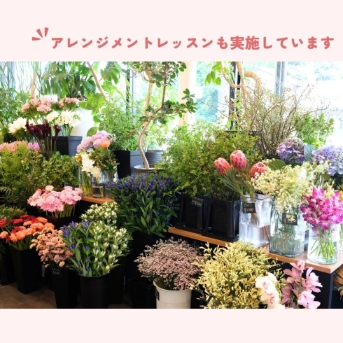 「Flower shop hanamo【トリコカワグチ掲載店のご紹介】」