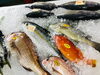 「西海物産館 魚魚市場鮮魚コーナーおすすめ商品は「赤ハタ・ヒラメ」です♪」