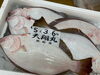 「鮮魚パックいろいろ販売中‼️〆鯖も販売致します🐳」