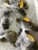 「魚魚市場鮮魚コーナーおすすめは「チカメキントキ」です♪」