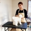 ドックケアサロン「Pet salon SHIRO_」加古川町粟津にNEWオープン！