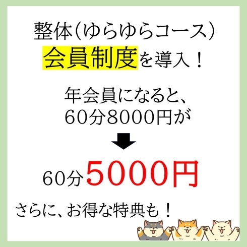 「好評だったため、整体にも導入します！」