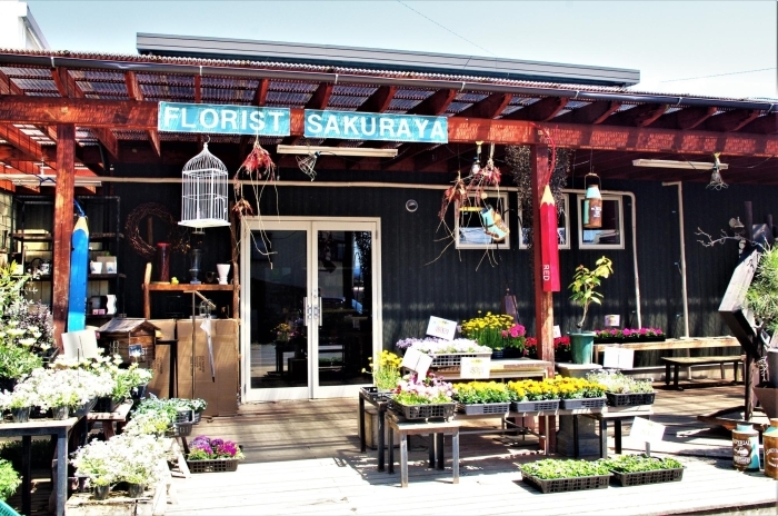 花文化 を広める上田市の 桜屋 さんを取材 上田市 東御市のおすすめお店特集 まいぷれ 上田 東御 花文化 を広める上田市の 桜屋 さんを取材 上田市 東御市のおすすめお店特集 まいぷれ 上田 東御