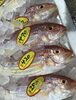 「魚魚市場鮮魚コーナーおすすめは「レンコ鯛・青さ」です♪」