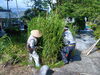 庭の手入れ「山作の仕事内容をご紹介！空師・庭師・樹木医が連携する安心の施工体制」