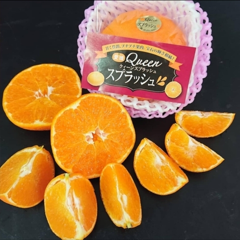 愛媛クイーンスプラッシュ（甘平）旬です。「【2024年】柑橘🍊フルーツミニトマト🍅美味しい果物が勢揃いですよ✨やおもり果実専門店🍈」