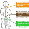 歪みがトラブルの原因「歪みを整えて体温&免疫アップ!!!」