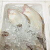 「魚魚市場鮮魚コーナーおすすめは「北海道産活きホタテ・カレイ」です♪」