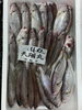 石持ち「本日鮮魚入荷致しました」