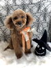 さくらちゃん／プードル「Happy Halloween (^-^)」